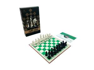شطرنج کلاسیک /اینکیدو
