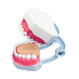 مولاژ دندان آموزش مسواک متوسط